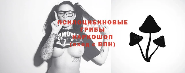 бошки Заводоуковск