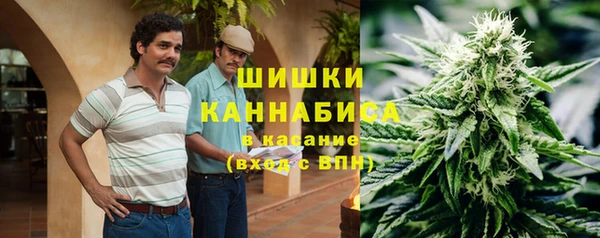 бошки Заводоуковск